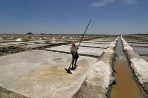 man working at salt evaporation pond in Tamil Nadu, India A Dash of Science.com