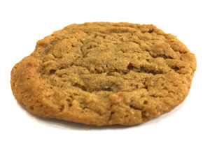 soft gingerbread cookie