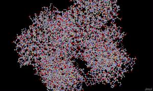 ovalbumin from A Dash of Science.com