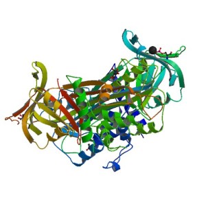 ovalbumin from A Dash of Science.com